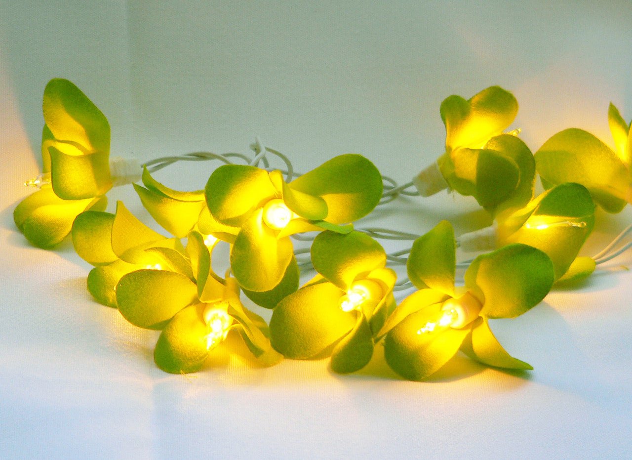 1 Set of 20 LED Green Frangipani Flower Battery String Lights Christmas Gift Home Wedding Party Decoration Outdoor Table Garland Wreath 