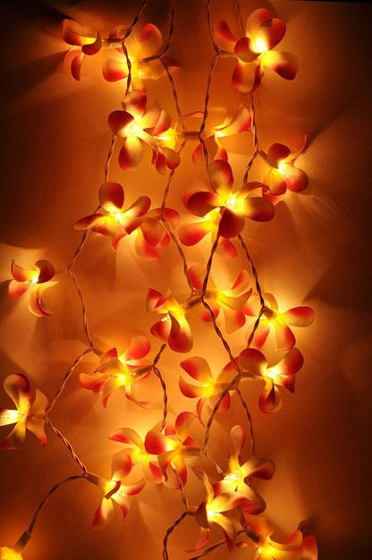 1 Set of 20 LED Orange Frangipani Flower Battery String Lights Christmas Gift Home Wedding Party Decoration Outdoor Table Garland Wreath 