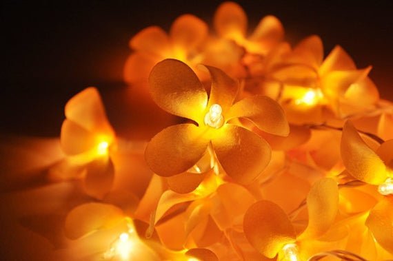 1 Set of 20 LED Orange Frangipani Flower Battery String Lights Christmas Gift Home Wedding Party Decoration Outdoor Table Garland Wreath 