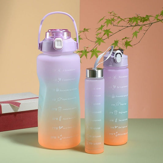 3 Pcs Motivational Water Bottle with Straw (1900Ml, 900Ml, 300Ml ) - Combo pack 