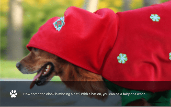 Christmas Dog Costume - Festive Hooded Cape & Green Jumpsuit Outfit (Size : XL) - casaculinary