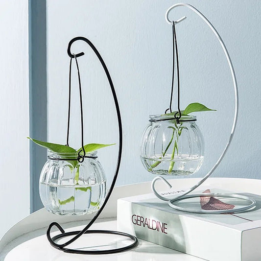 Creative Transparent Ornaments Hanging Bottle Hydroponic Plant Vase 