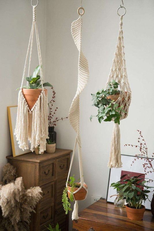 Macrame Plant Hangers & Air Plant Holder for Decor 